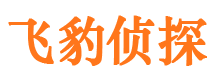 鲅鱼圈市侦探调查公司